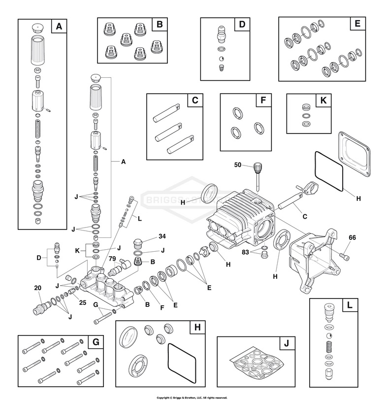 Elite series briggs model 020507 pump breakdown & parts